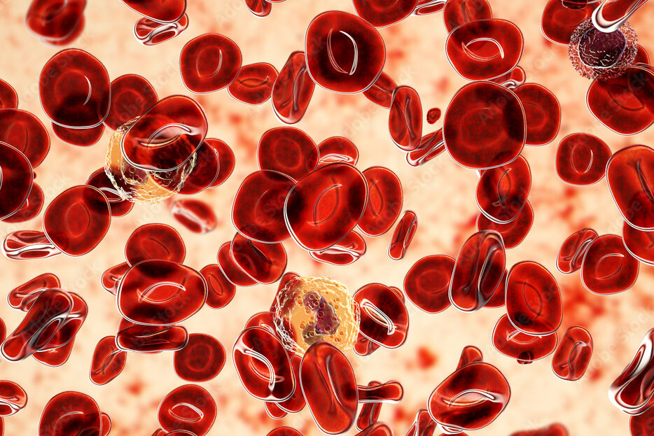 血液とは何か。血球成分の大部分は赤血球からなる。