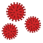 まれにウイルスの感染症を認めることがあります。日本ではHBV、HCV、HEV、HIV、HTLV-1、CMVなどのウイルスが確認されています。