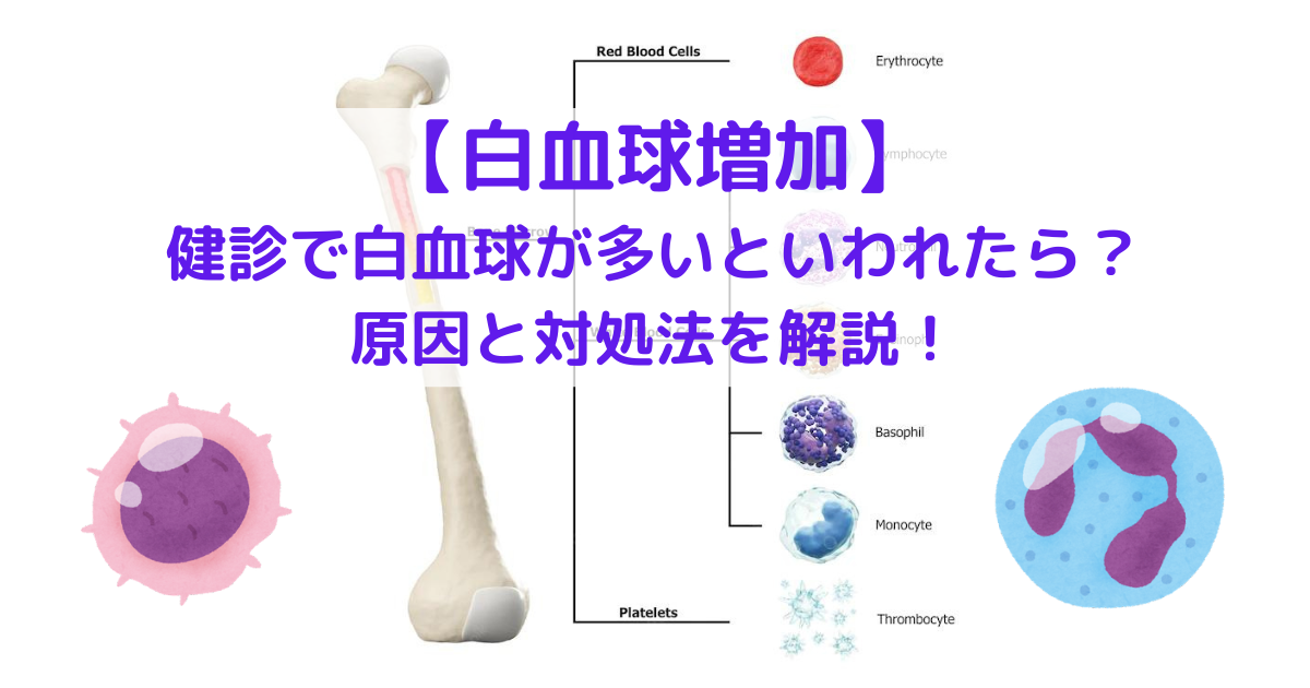 白血球が多いのは何が原因？