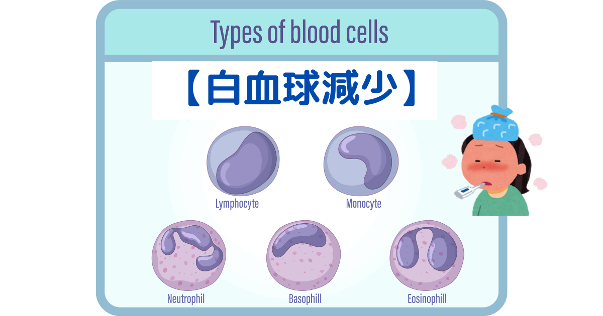 白血球が少なくなるとどんな病気になるの？